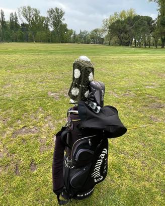 Set mazze golf LEFT HAND