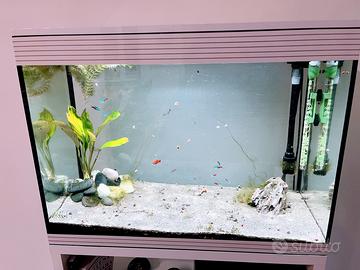 Acquario askoll pure xl hc dolce