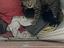 Immagine 3