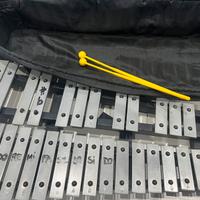 Glockenspiel,Pad x esercizi, borsa Meinl, rullante