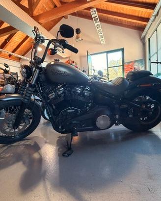 Harley-davidson Softail Street Bob milwaukee eight