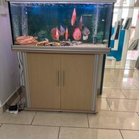 Acquario 180 litri