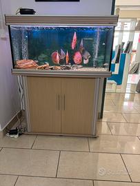 Acquario 180 litri