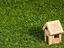 Immagine 8