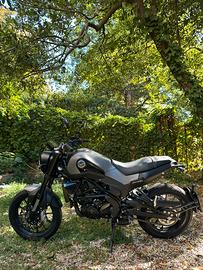 Benelli leoncino 250