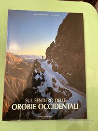 Sul sentiero delle Orobie occidentali è un'opera f