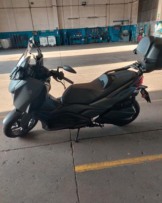 Xmax 300
