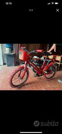 Bicicletta lady bug