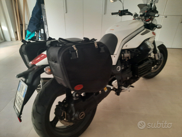 Vendo bellissima moto guzzi griso 1200