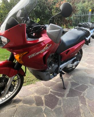 Honda transalp 650 anno 2000