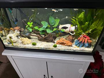 acquario 100 litri con motore esterno