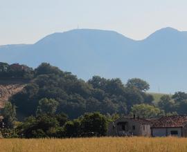Agriturismo nelle Marche