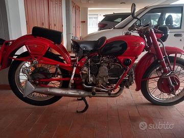 falcone sport del 1951