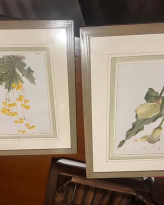 Quadri fiori