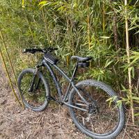 Bici MTB