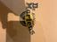 Immagine 5