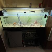 Acquario Completo 200 litri + plafoniera + mobile