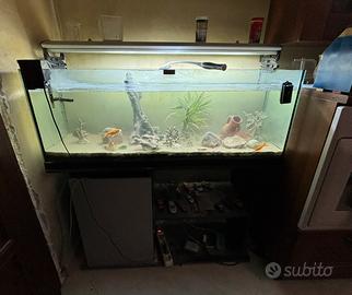 Acquario Completo 200 litri + plafoniera + mobile