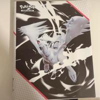 Raccoglitore Pokemon Zekrom