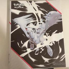 Raccoglitore Pokemon Zekrom