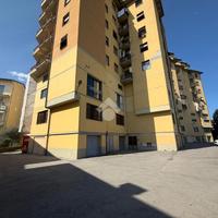 COMPLESSO A FIGLINE E INCISA VALDARNO