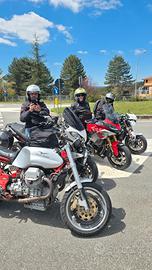 moto guzzi v11 scrambler