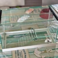 Acquario con scaletta e base interna per tartaruga