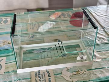 Acquario con scaletta e base interna per tartaruga