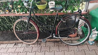 bici olandese 