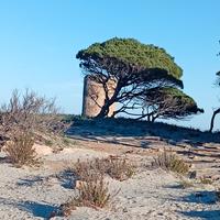 Sardegna a settembre