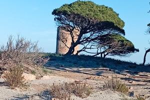 Sardegna a settembre