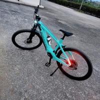 Bici elettrica bianchi