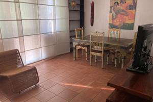 Soli studenti - carpenedo (ve)