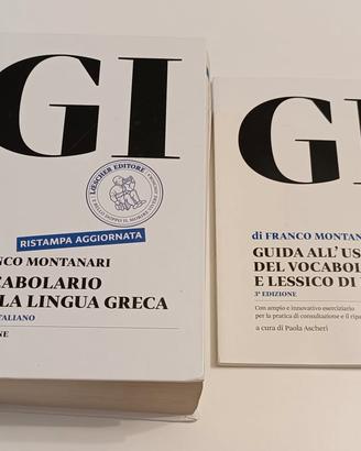 Dizionario GI