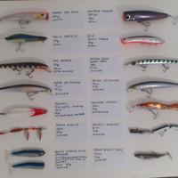 Pesca spinning pesante set