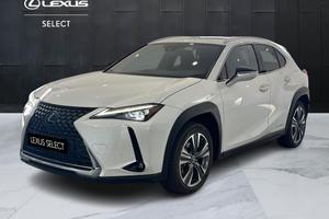 Lexus UX 300e Luxury