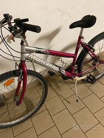 Bicicletta