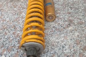 Monoammortizzatori Ohlins 