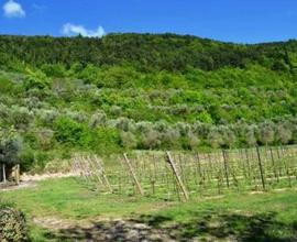 Terreno a Tregnago (VR).