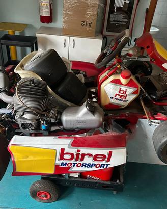 go kart birel 100 cc