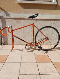 Bicicletta Colnago Mexico