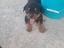 Immagine 1