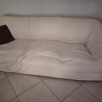 Divani