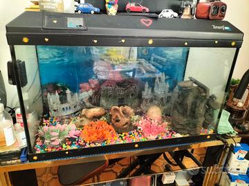 Acquario
