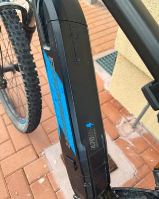 bicicletta elettrica 