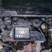 Motore completo 1.4 TDCi per ford Fiesta anno 2008