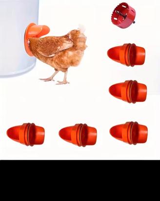 kit mangiatoia polli 