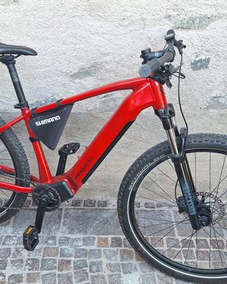 E Bike Megamo Ridont