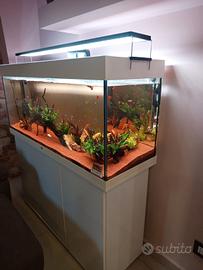 Acquario juwel rio 240