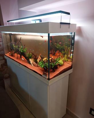 Acquario juwel rio 240